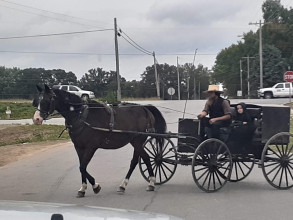 An Amish Man Heads Home From the Grocery Store, El Dorado, Missouri